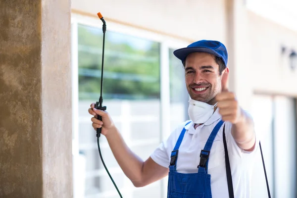 Hutto Wasp Removal