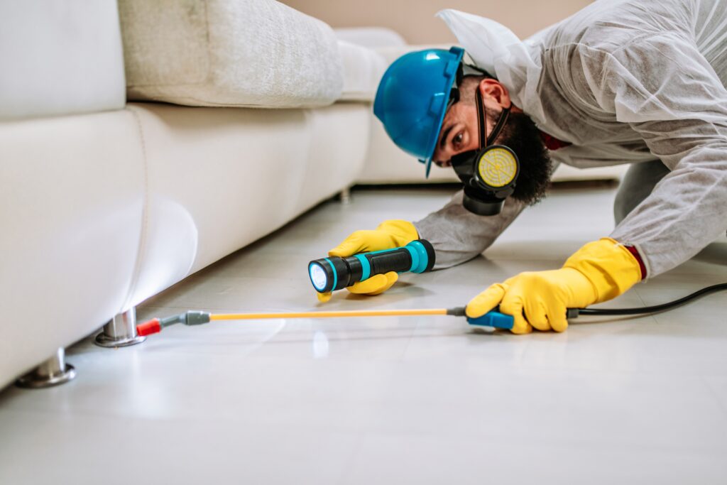 Hutto Termite Control
