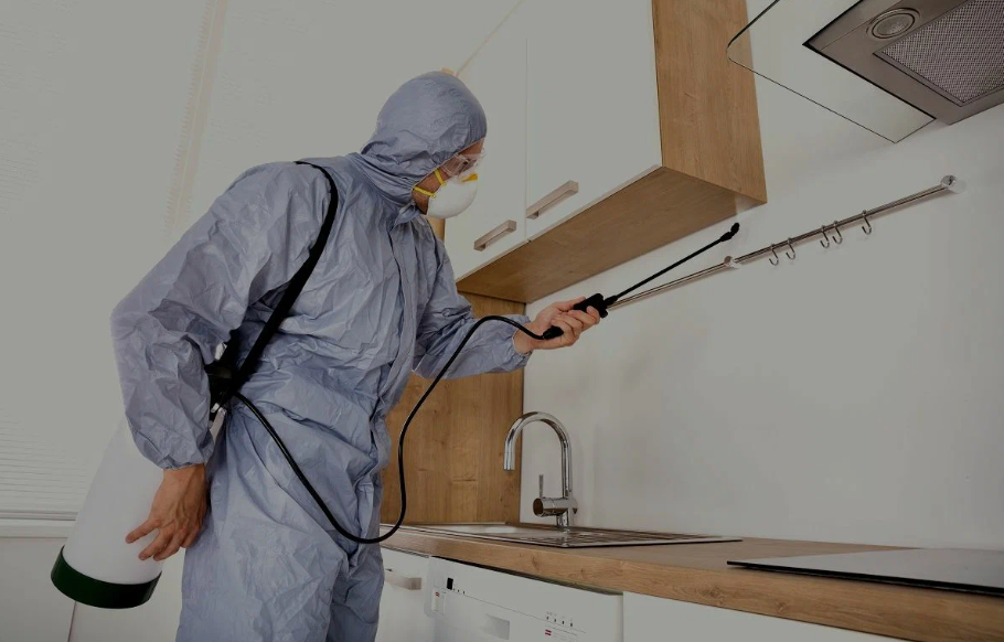 Hutto pest managment